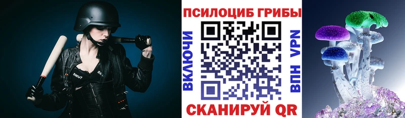 Псилоцибиновые грибы Psilocybine cubensis  Чистополь 